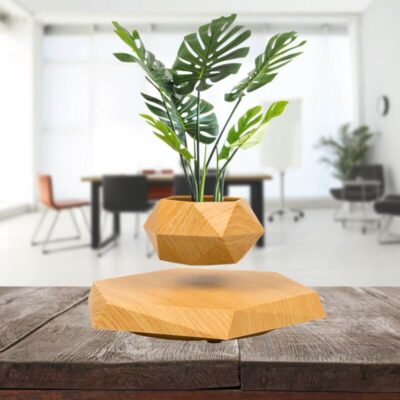 Plante lévitation - Pot de Fleur en Lévitation - Science Labs