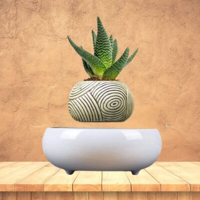 Plante Magnétique - Pot de Fleur en Lévitation - Science Labs