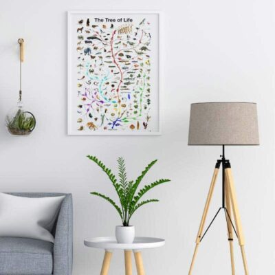 Poster arbre de la vie Biologie - Poster Scientifique - Science Labs