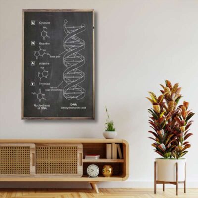 Poster Scientifique ADN - Poster Scientifique - Science Labs