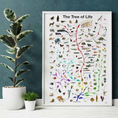 Poster Scientifique Biologie - Poster Scientifique - Science Labs