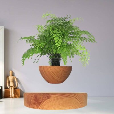 Pot de Plante en Lévitation - Pot de Fleur en Lévitation - Science Labs