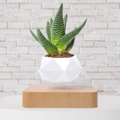 Vase en Lévitation - Pot de Fleur en Lévitation - Science Labs