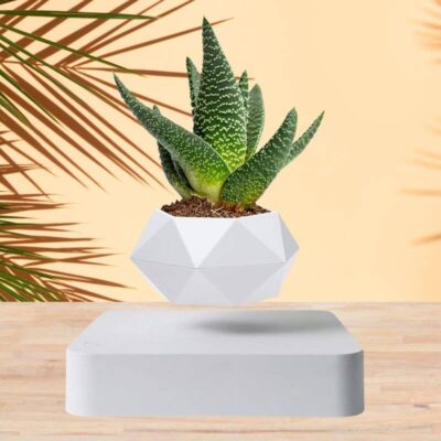 Vase Flottant Magnétique - Pot de Fleur en Lévitation - Science Labs