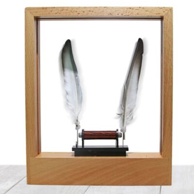 Cadre Slow Motion - lampe anti-gravité - deco scientifique