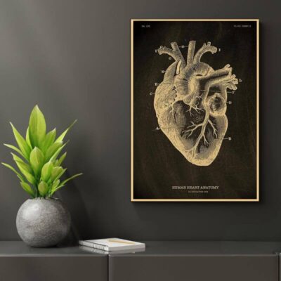 Poster Anatomie du Corps Humain