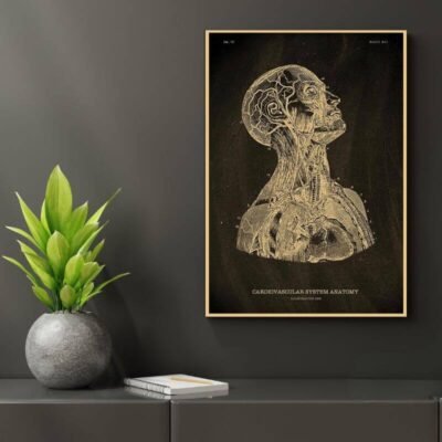 Poster Anatomie du Corps Humain