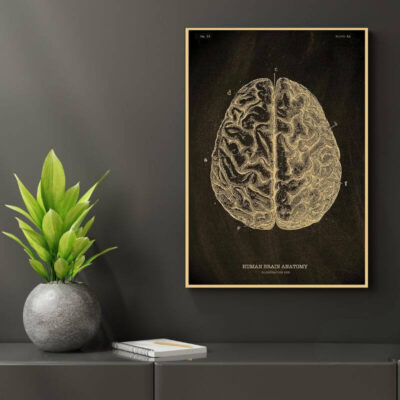 Poster Anatomie du Corps Humain