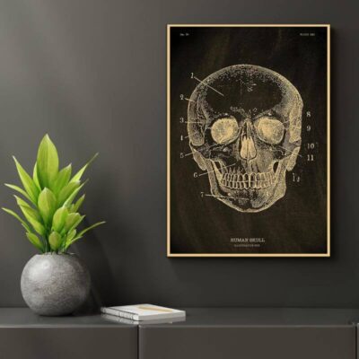 Poster Anatomie du Corps Humain
