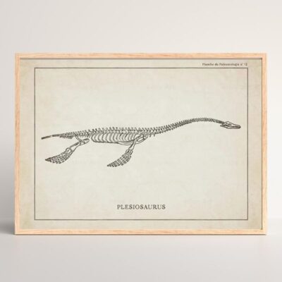 Poster Dinosaure