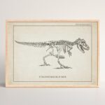 Tyrannosaurus Rex