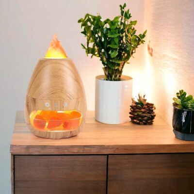 Lampe Diffuseur Huile Essentielle Pierre de Sel