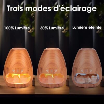 Lampe Diffuseur Huile Essentielle Pierre de Sel