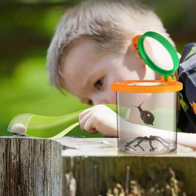 Boite Loupe Observation Insecte