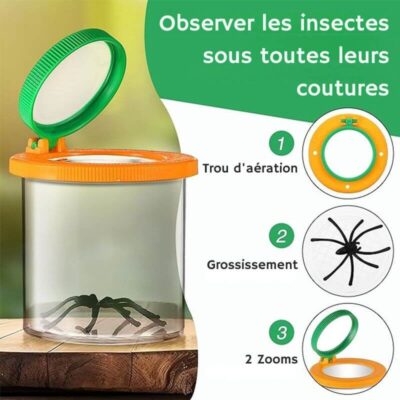 Boite Loupe Observation Insecte