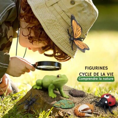 Figurine Cycle de la Vie