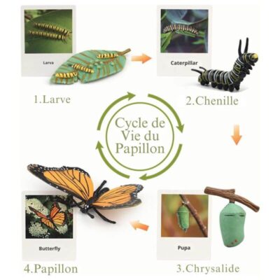 Figurine Cycle de la Vie
