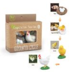 Poule
