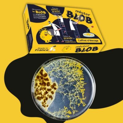 Kit Blob élevage