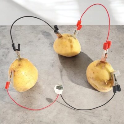 Aardappelklok Experiment set