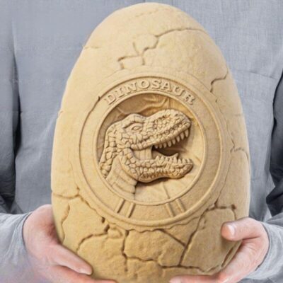 kit jeu archeologie dinosaure