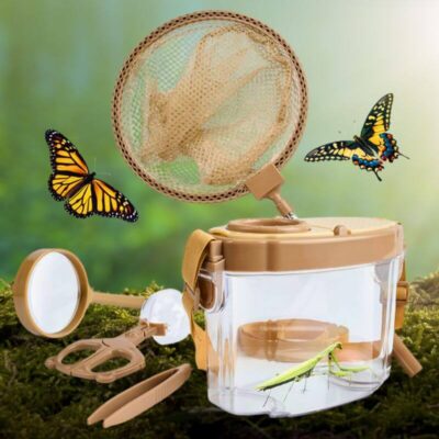Kit Observation Insectes