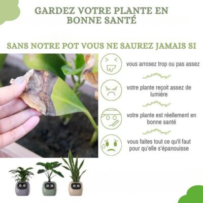 Pot de Fleur Connecté Intelligent