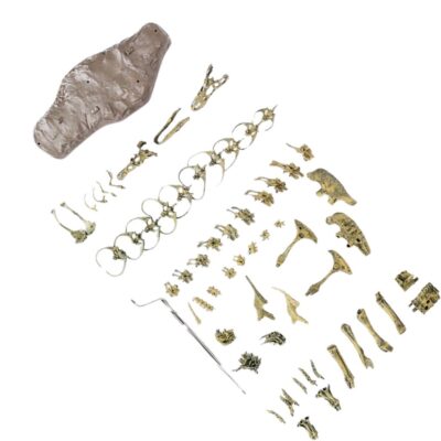 Dinosaure à construire