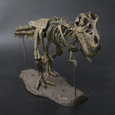 Dinosaure à construire