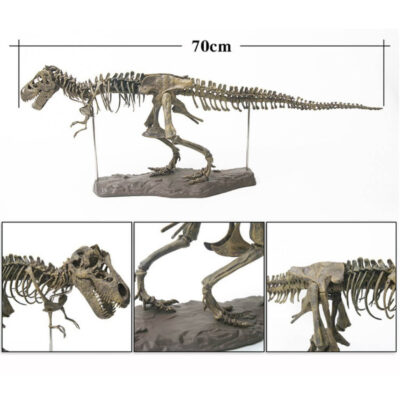 Dinosaure à construire