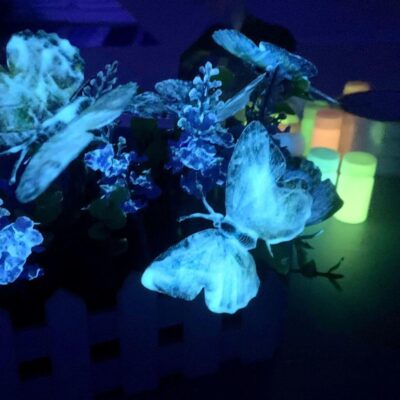 Peinture Acrylique Fluorescente
