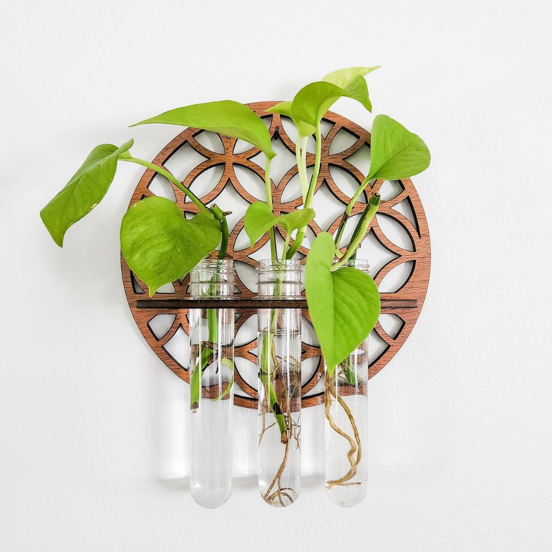 Hangende Hydrocultuur Wandplantenbak Set van 3 Afbeelding 2
