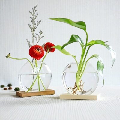 Hydrocultuur Vazen Duo Afbeelding 5