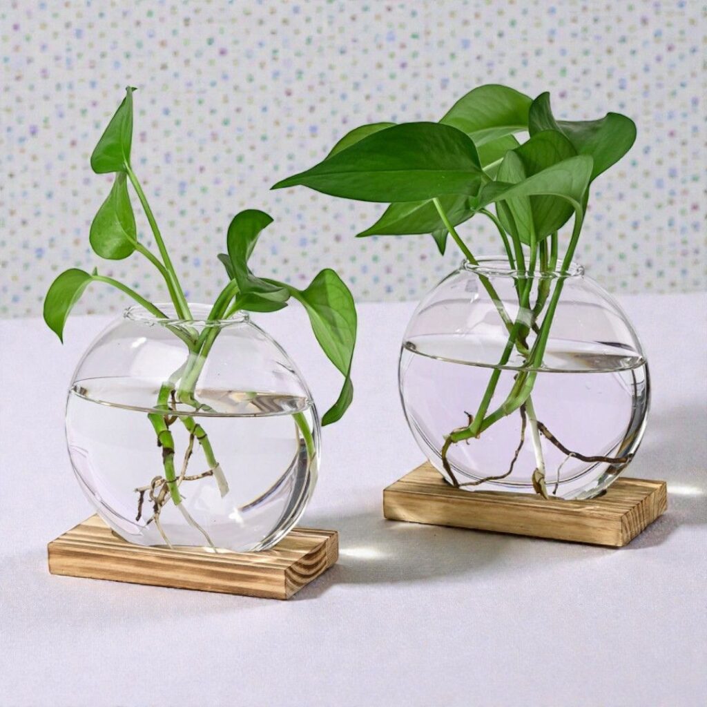 Hydrocultuur Vazen Duo