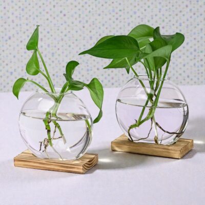 Hydrocultuur Vazen Duo Afbeelding 2