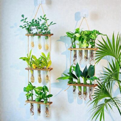 Wandplantenbak Reageerbuisjes Stekjes