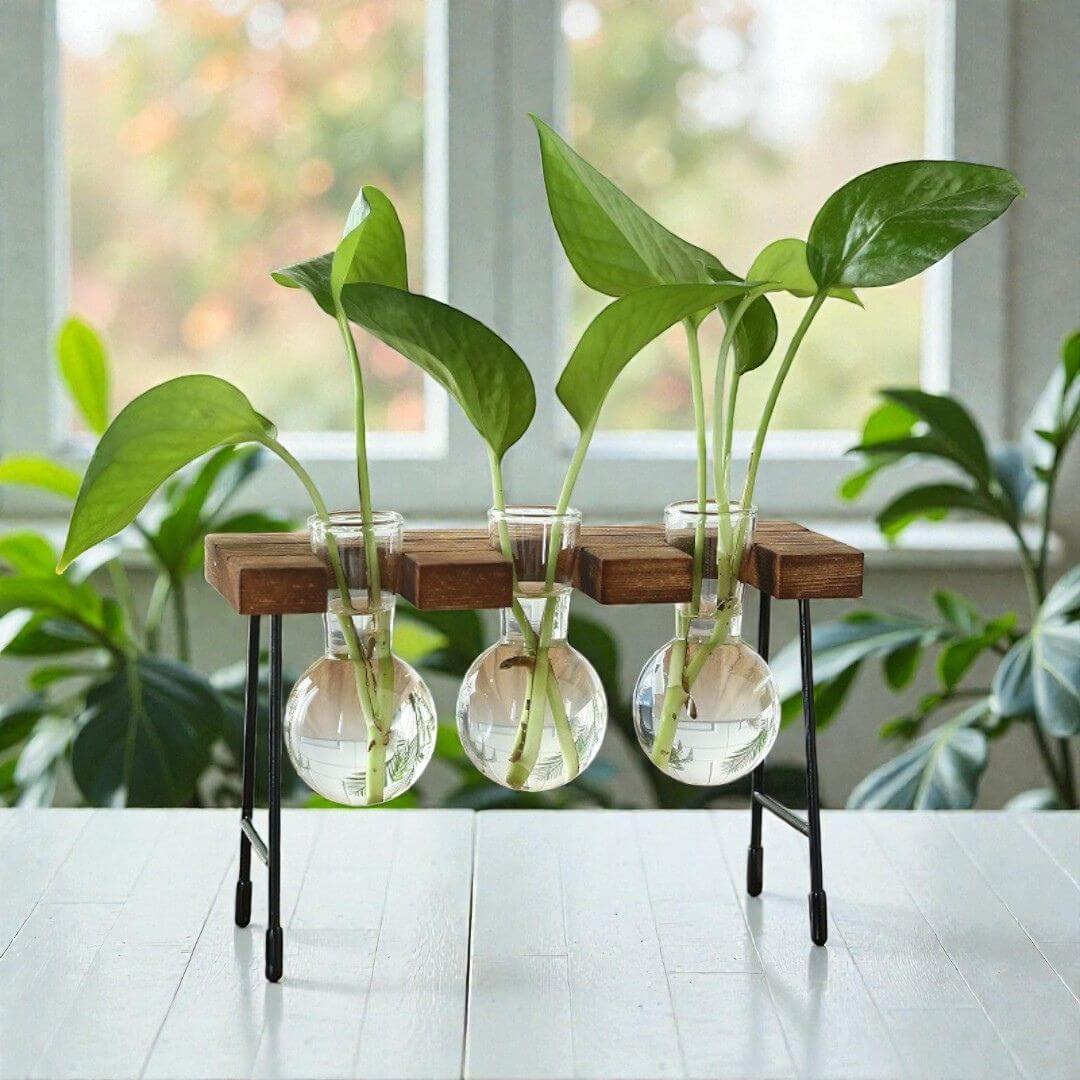 Vintage Hydrocultuur Vazen Set van 3 Afbeelding 5