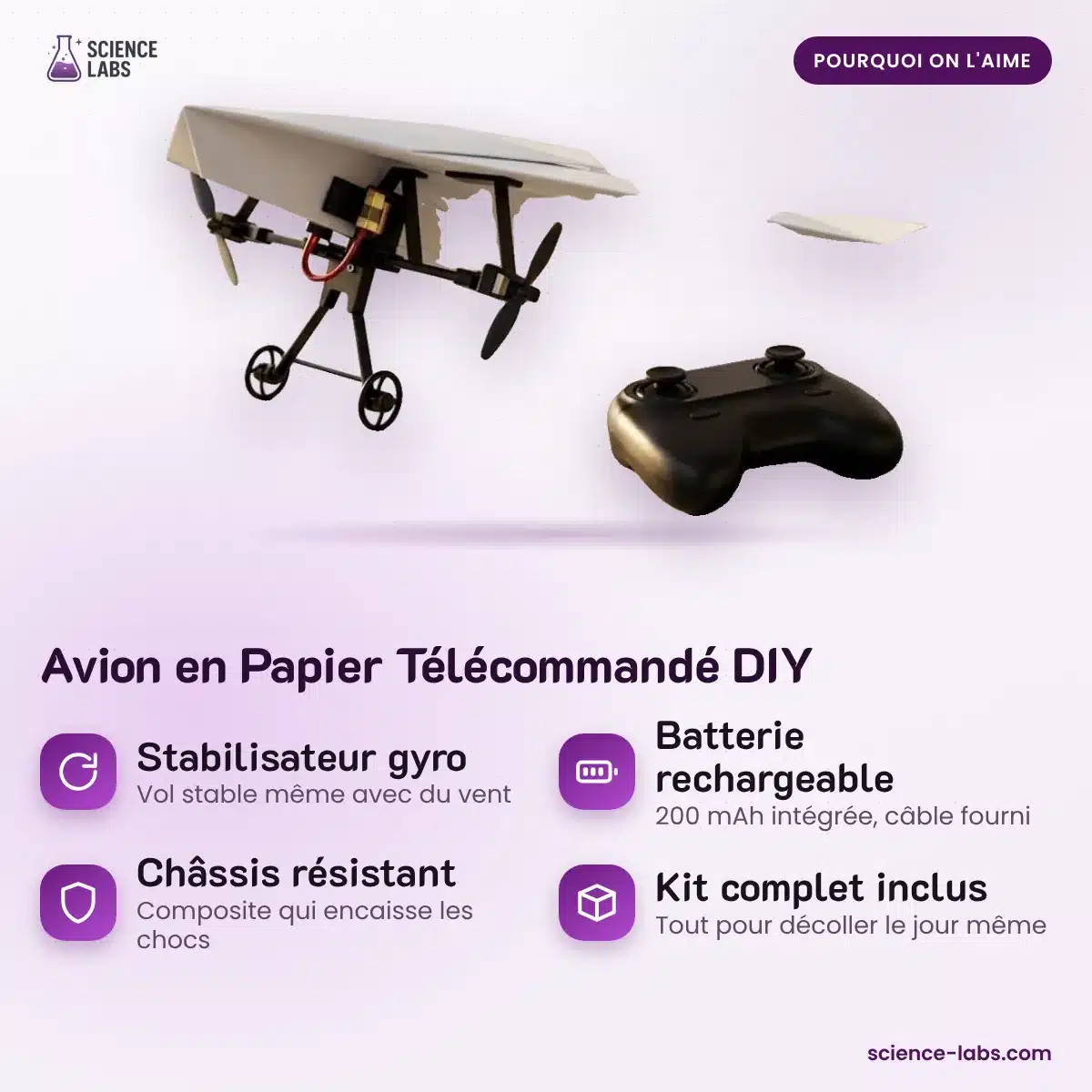 RC Papieren Vliegtuig DIY Afbeelding 3