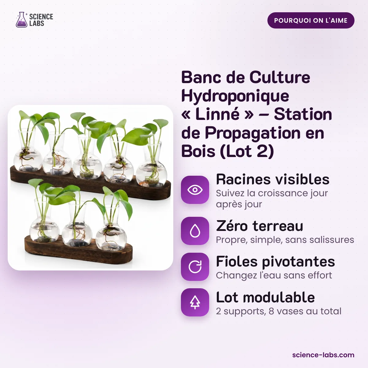 Hydrocultuur Stekjesstation Set van 2 Afbeelding 3