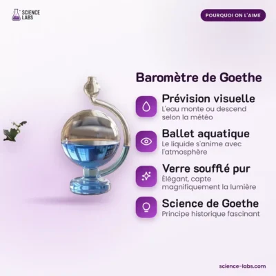 Goethe Barometer Afbeelding 3