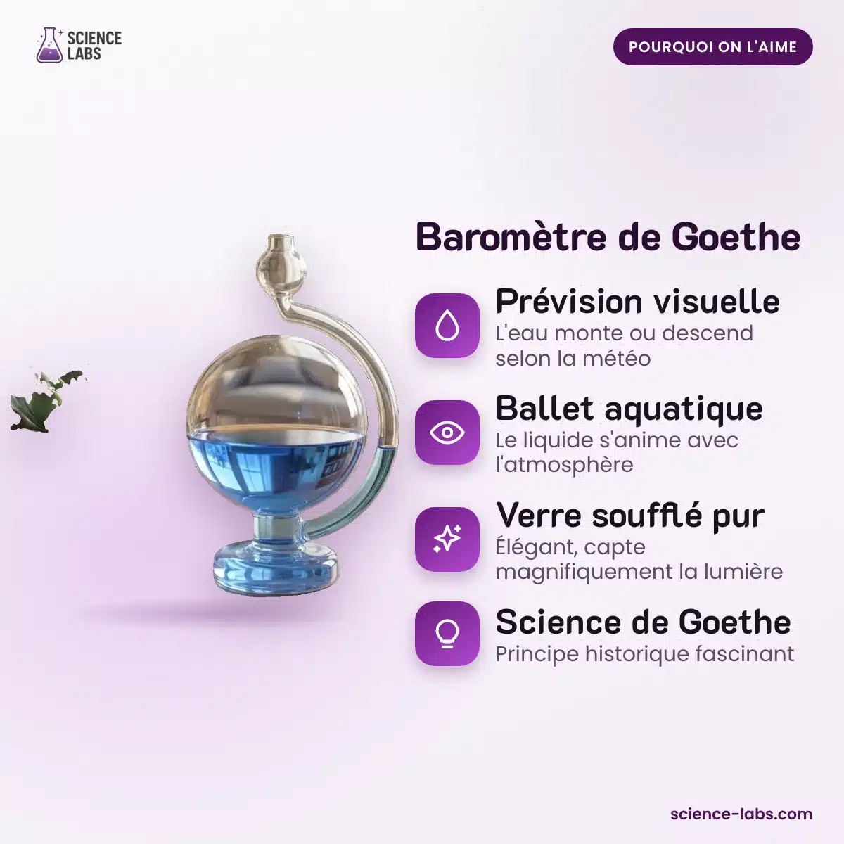 Goethe Barometer Afbeelding 3