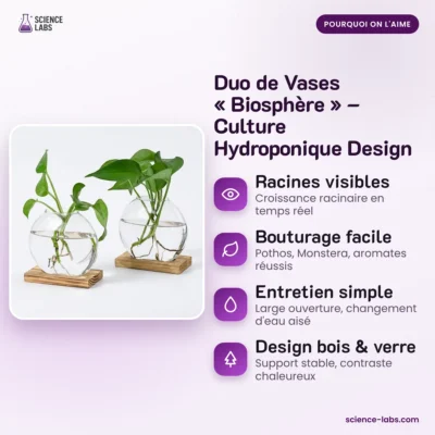 Hydrocultuur Vazen Duo Afbeelding 3