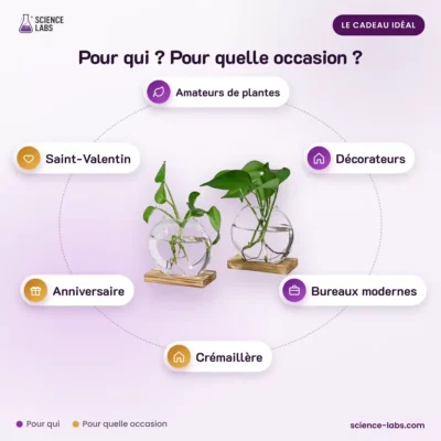 Hydrocultuur Vazen Duo Afbeelding 4