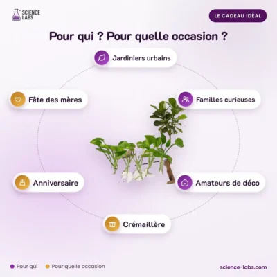 Stekjesstation Darwin 5 Reageerbuizen Afbeelding 4