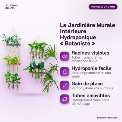 Wandplantenbak Reageerbuisjes Stekjes Afbeelding 3