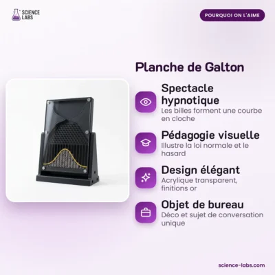 Galtonbord Afbeelding 3