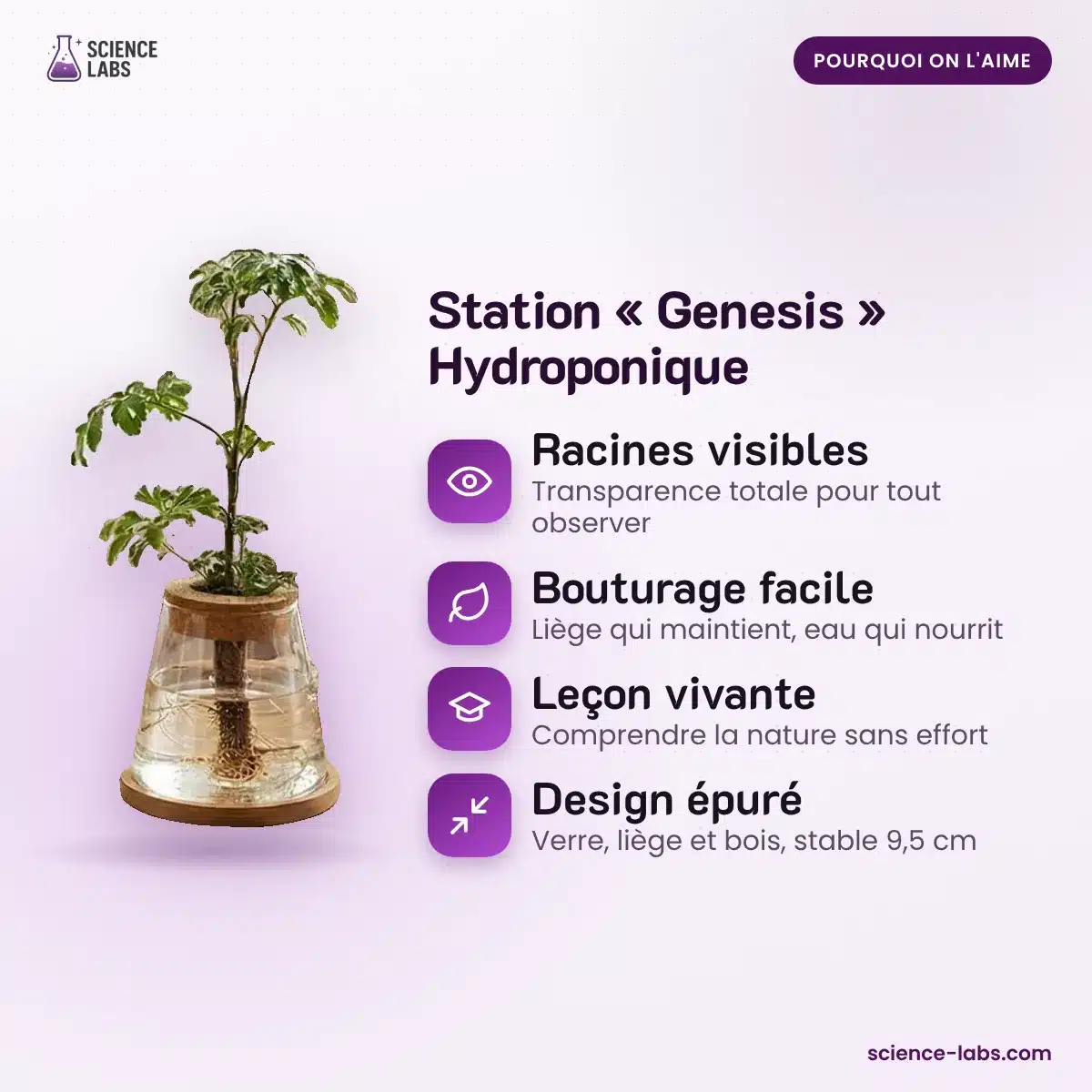 Stekjesvaas Genesis Hydrocultuur Afbeelding 3
