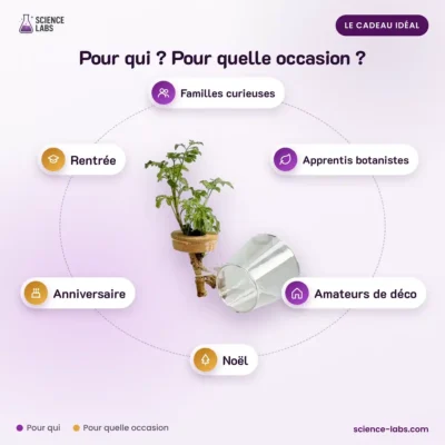 Stekjesvaas Genesis Hydrocultuur Afbeelding 4