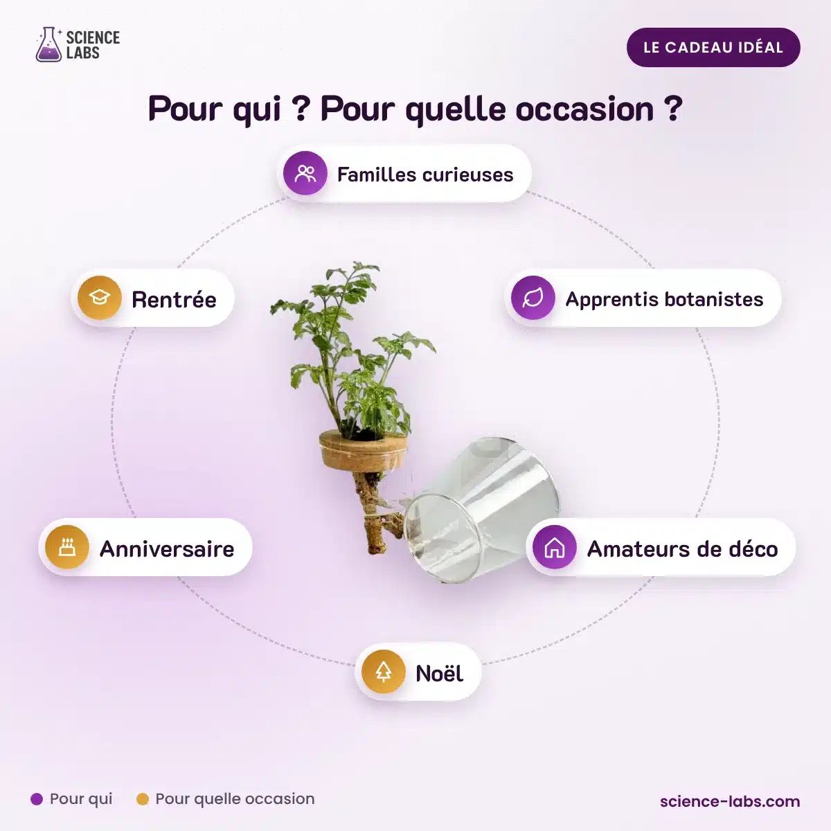 Stekjesvaas Genesis Hydrocultuur Afbeelding 4
