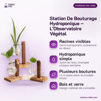 Stekstation Hydrocultuur Afbeelding 3